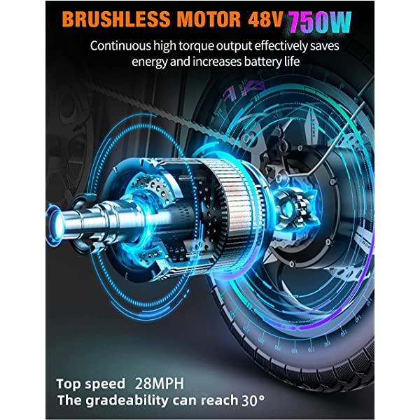 PASELEC Electric Mountain Bike for Adults Electric Bike 4.0 Fat Tire E-Bikes with 48V 14.5ah Hidden Removable Lithium Battery 48V 750W Motor, 9-Speed Gears Full-Suspension E-MTB Gray 14.5ah Battery